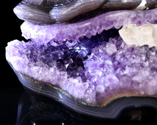 Amethyst Serpent & Toad Geode