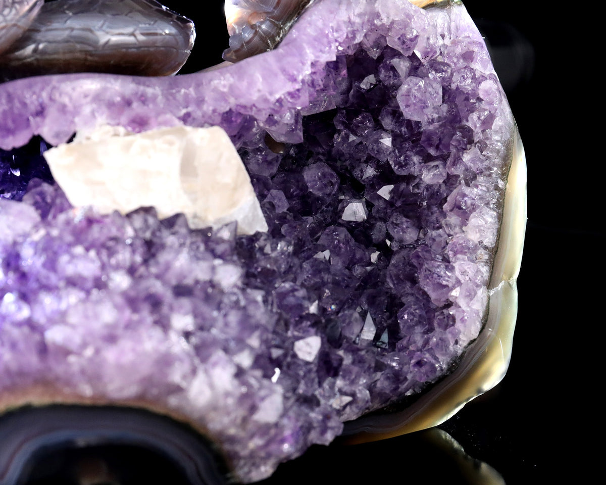 Amethyst Serpent & Toad Geode