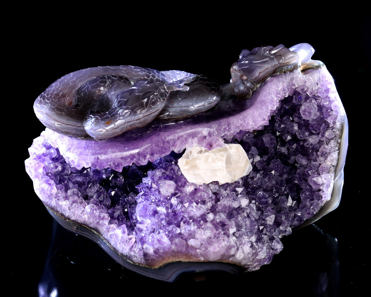 Amethyst Serpent & Toad Geode
