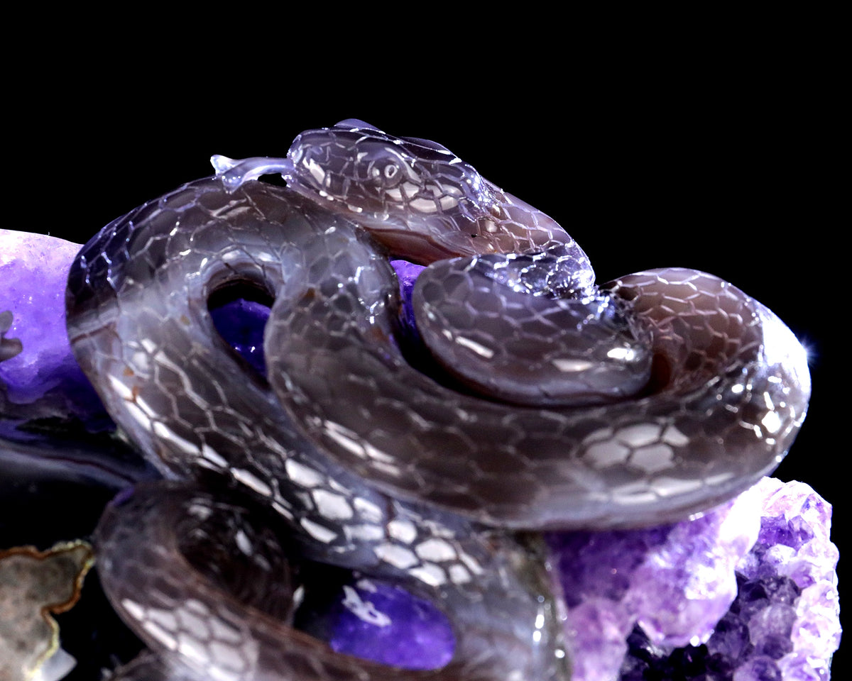 Amethyst Serpent & Toad Geode