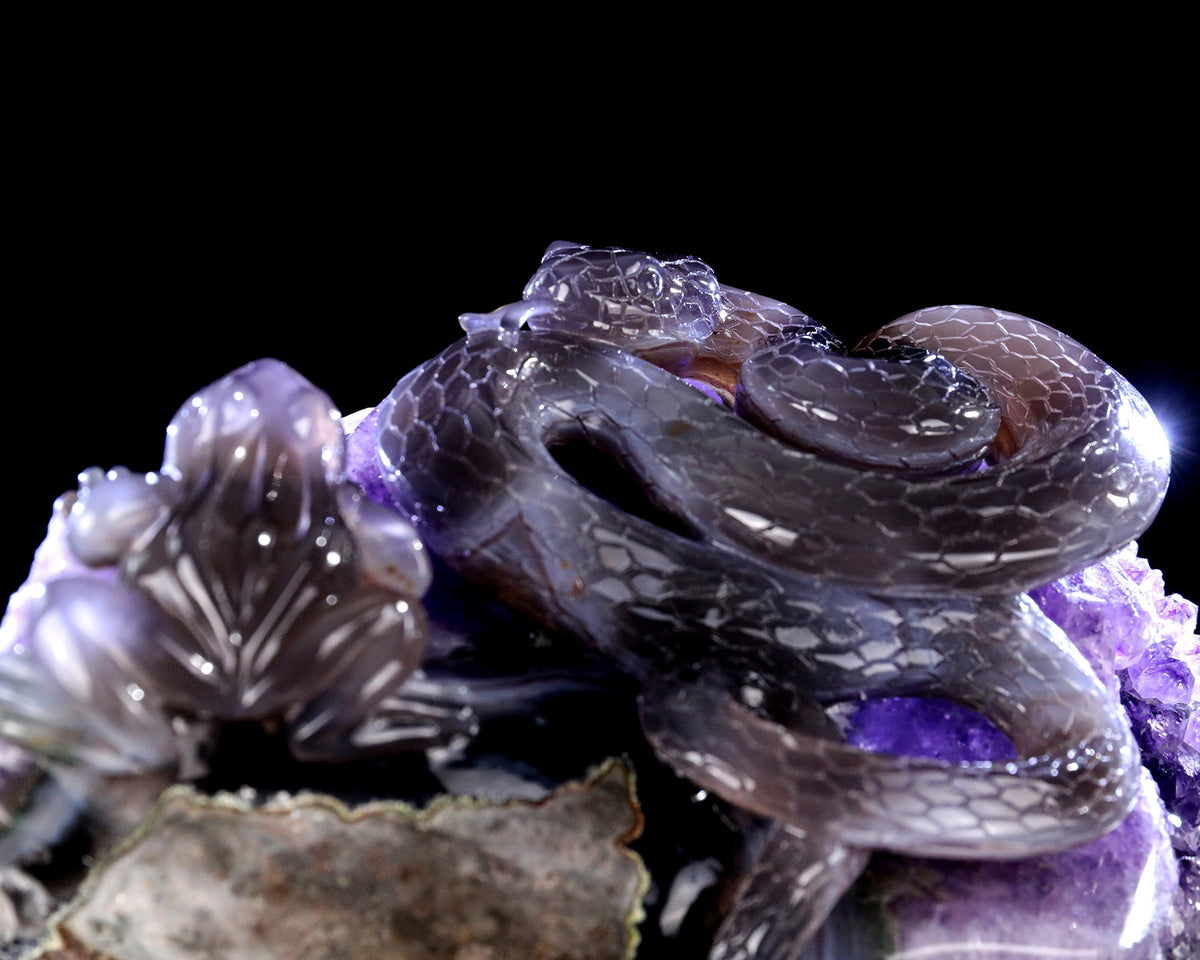 Amethyst Serpent & Toad Geode