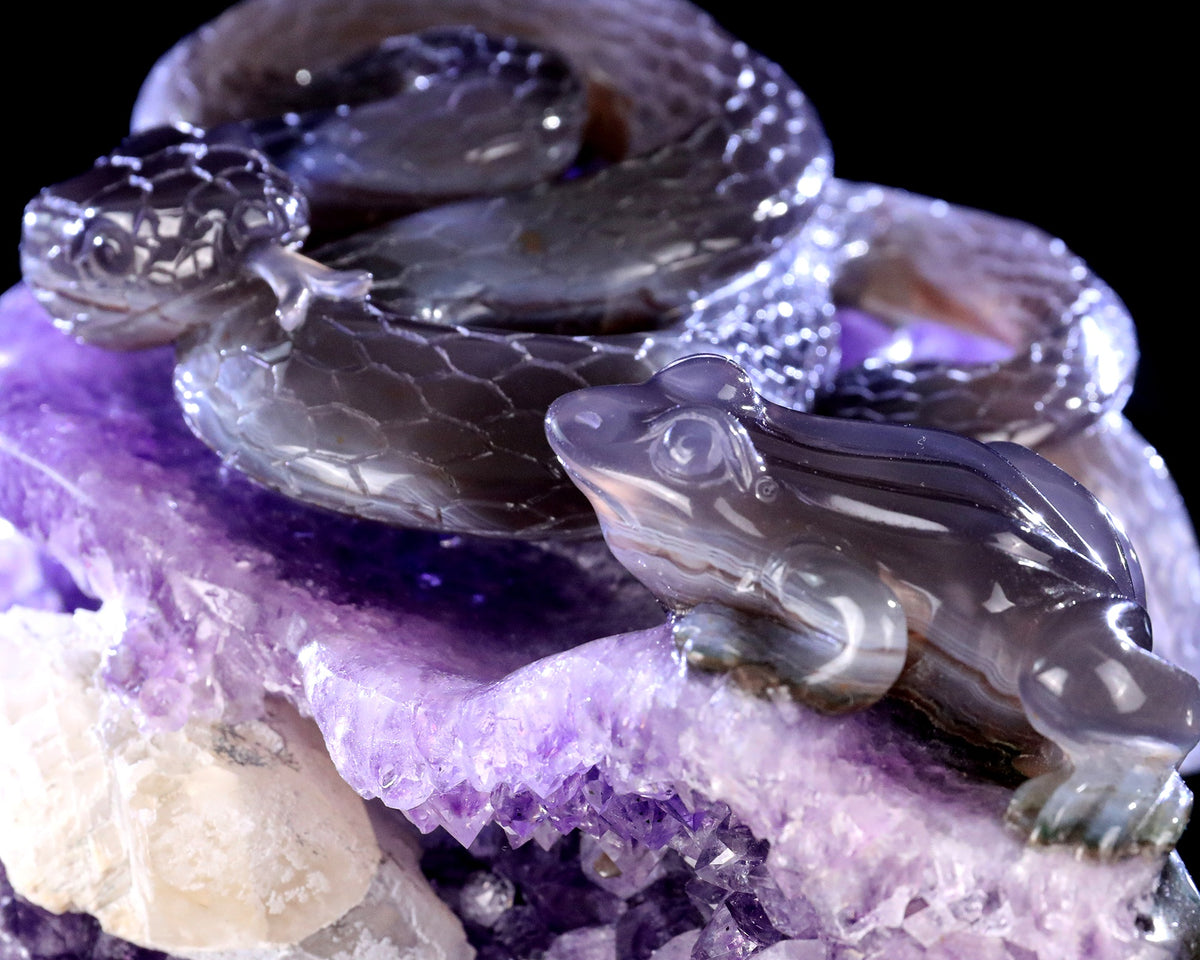 Amethyst Serpent & Toad Geode