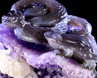 Amethyst Serpent & Toad Geode