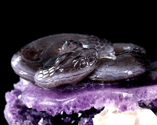 Amethyst Serpent & Toad Geode