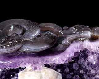 Amethyst Serpent & Toad Geode