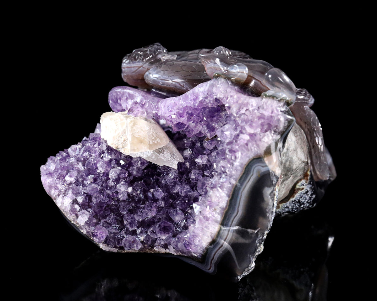 Amethyst Serpent & Toad Geode