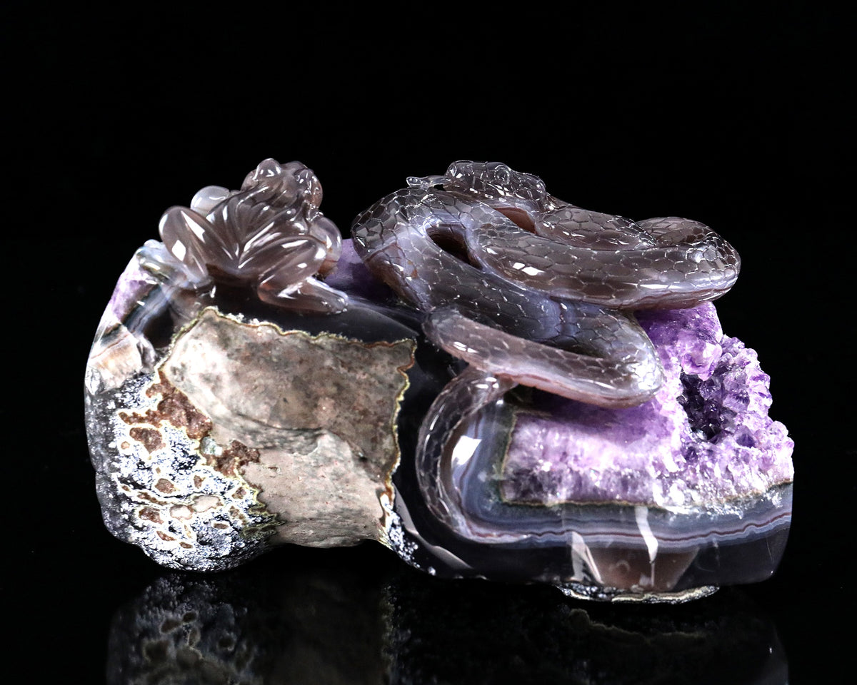 Amethyst Serpent & Toad Geode