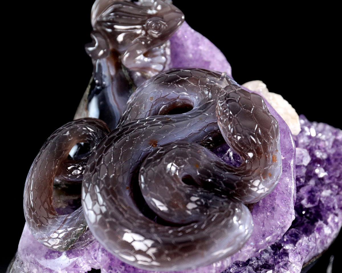 Amethyst Serpent & Toad Geode