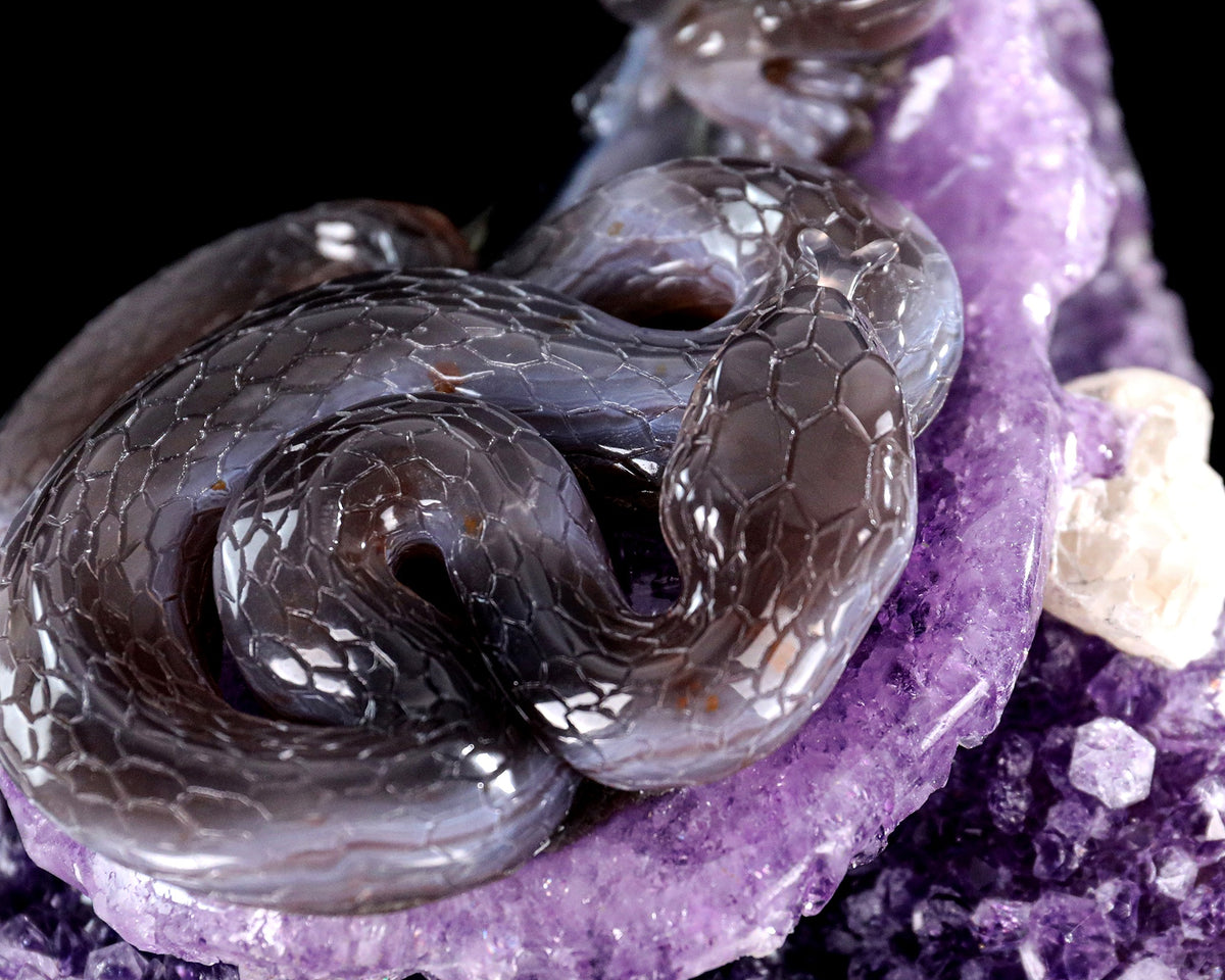 Amethyst Serpent & Toad Geode