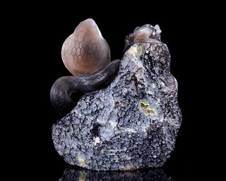 Amethyst Cobra & Orb Geode