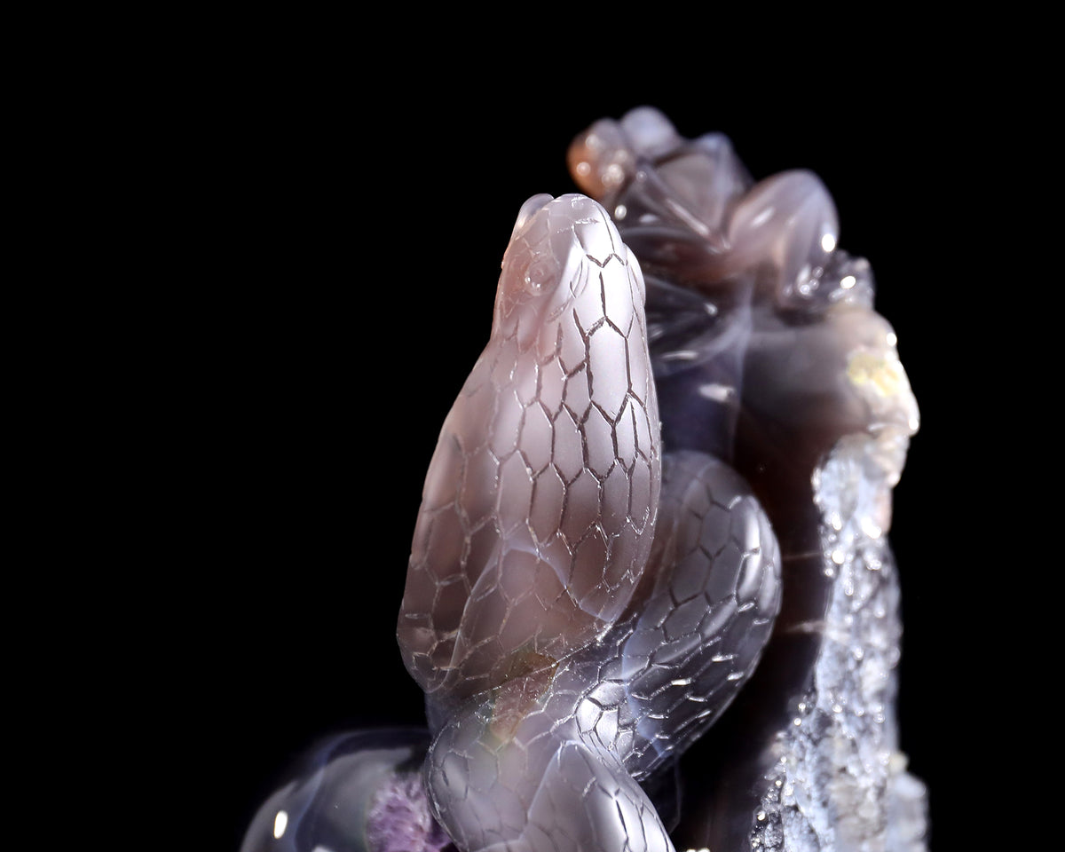 Amethyst Cobra & Orb Geode