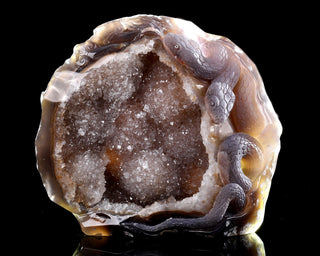 Agate Serpent Sanctuary Geode