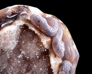 Agate Serpent Sanctuary Geode