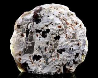 Agate Serpent Sanctuary Geode