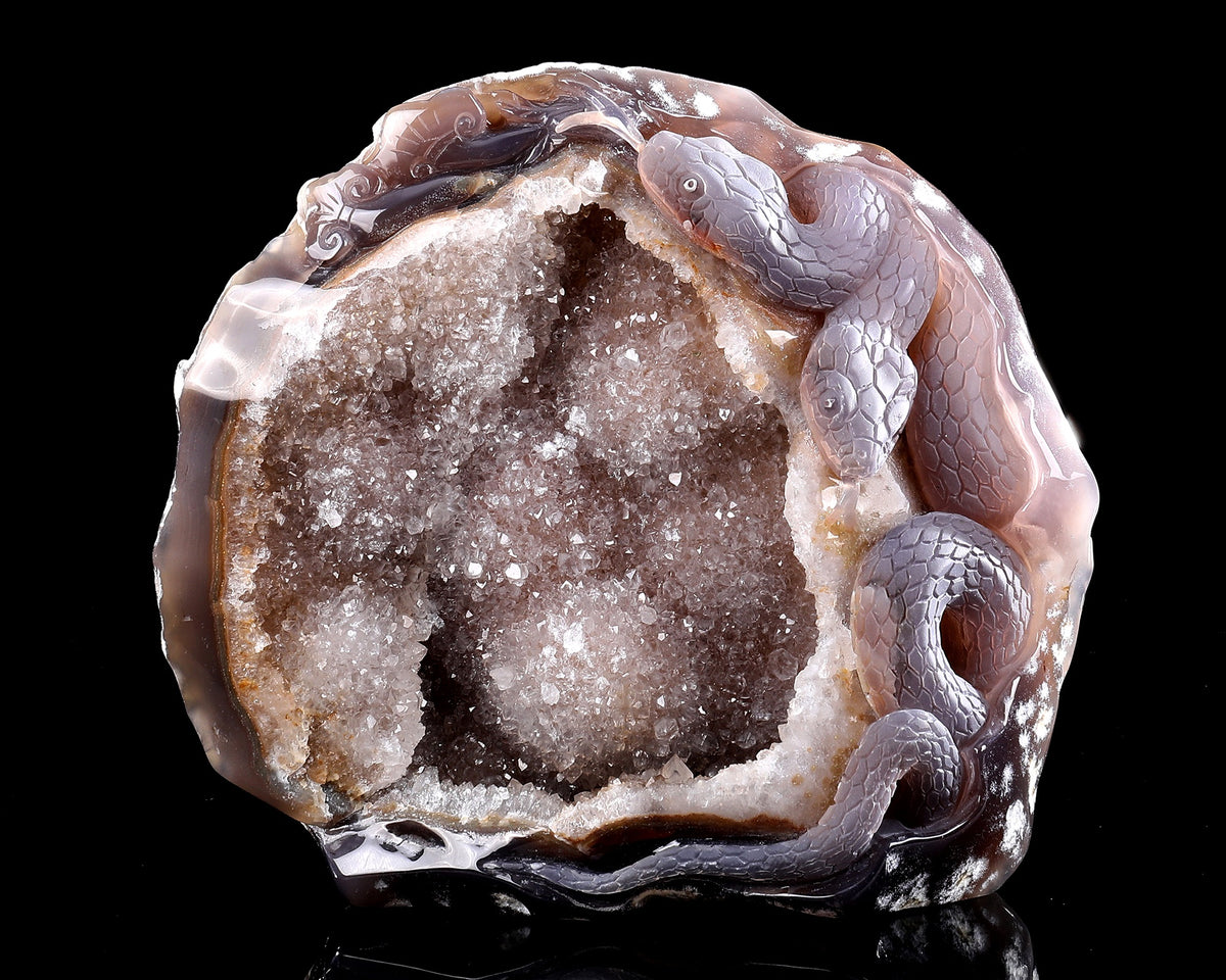 Agate Serpent Sanctuary Geode