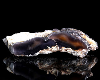Agate Dragon Guardian Druzy Geode