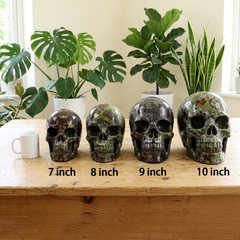 7-14 inch Dragon Bloodstone Crystal Skull - Titan Series Large Scale Crystal Skull — view 2