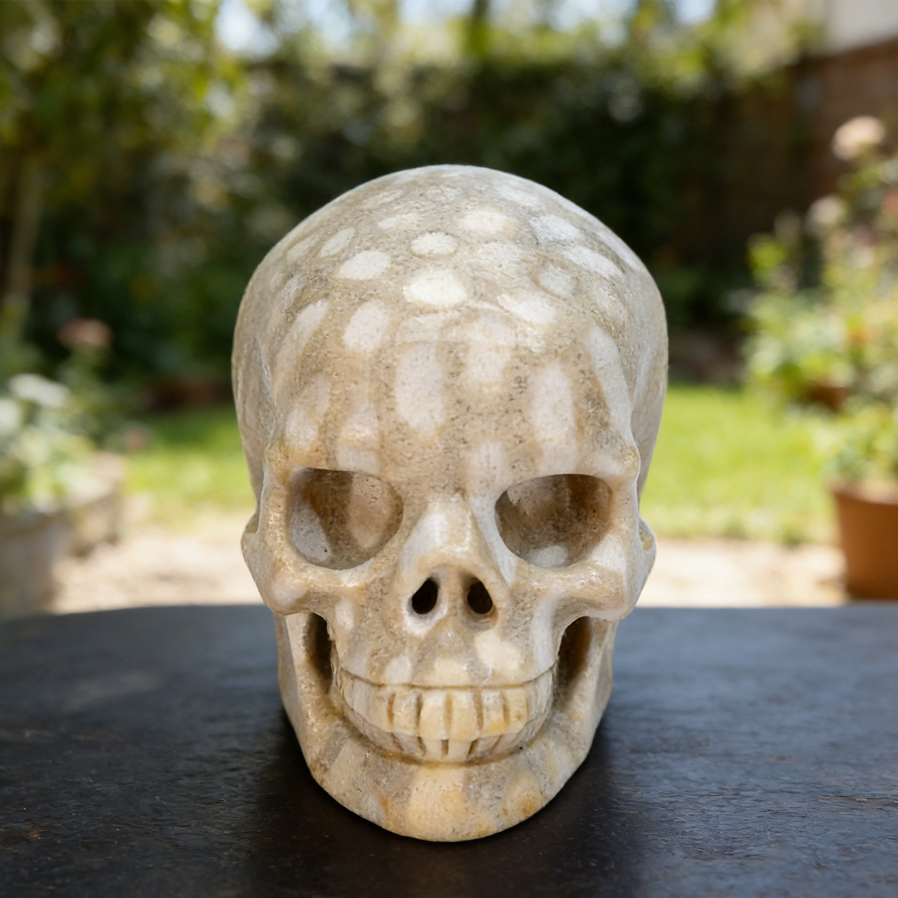3 Inch Coral Fossil Crystal Skull — view 3