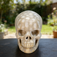 3 Inch Coral Fossil Crystal Skull — view 3
