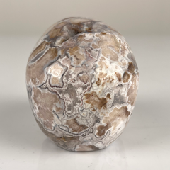 3 Inch Blue Flower Agate Crystal Skull — view 4