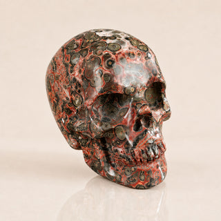 Crâne en pierre de léopard rouge de 5,6 cm
