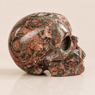 Crâne en pierre de léopard rouge de 5,6 cm