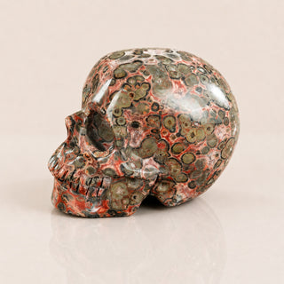 Crâne en pierre de léopard rouge de 5,6 cm