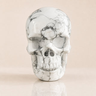 Crâne de Howlite de 3 pouces