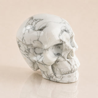 Crâne de Howlite de 3 pouces