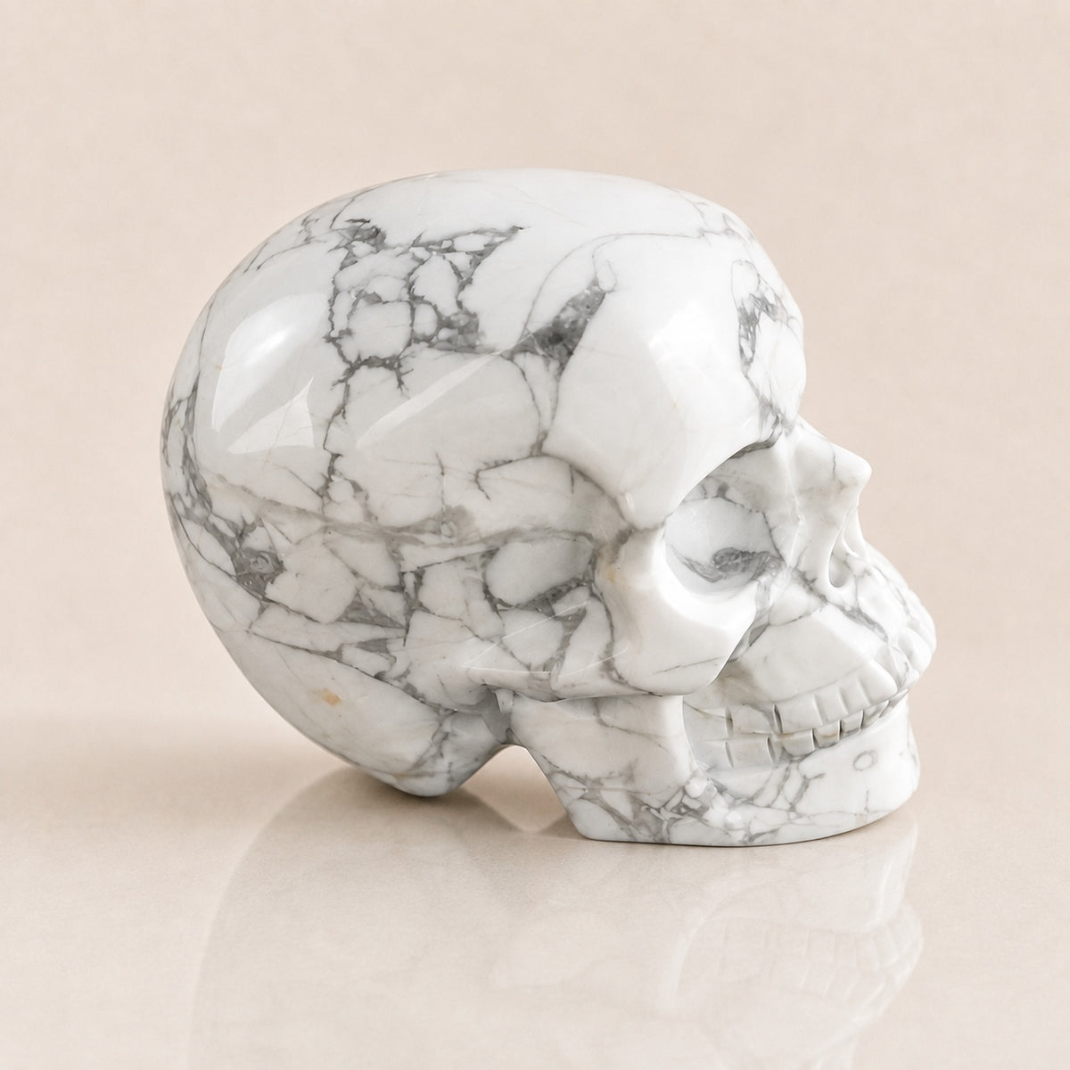 Crâne de Howlite de 3 pouces