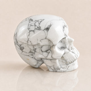 Crâne de Howlite de 3 pouces