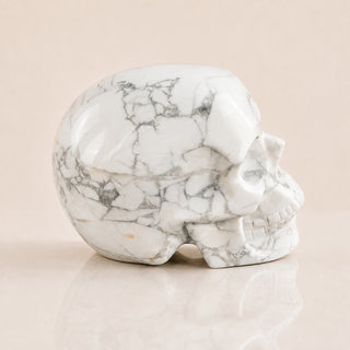 Crâne de Howlite de 3 pouces