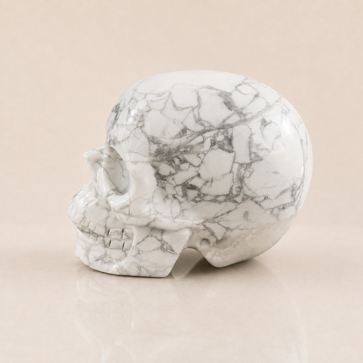 Crâne de Howlite de 3 pouces