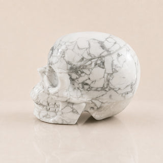 Crâne de Howlite de 3 pouces
