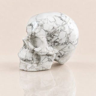 Crâne de Howlite de 3 pouces