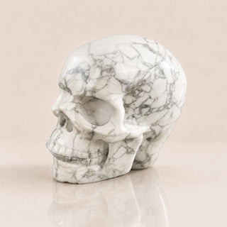 Crâne de Howlite de 3 pouces