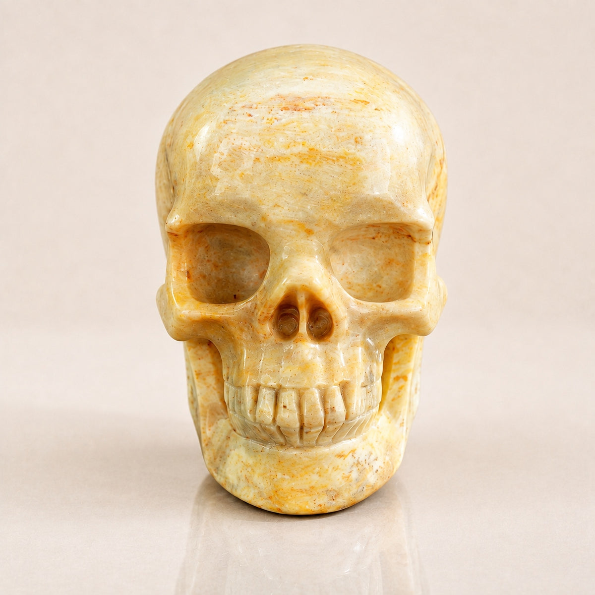 3-inch Coral Fossil Skull