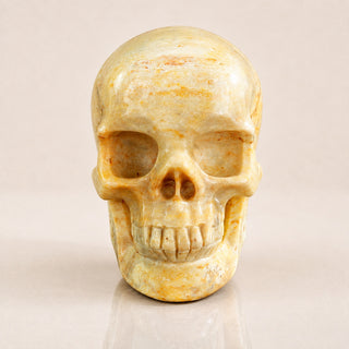 3-inch Coral Fossil Skull