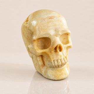 3-inch Coral Fossil Skull
