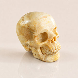 3-inch Coral Fossil Skull