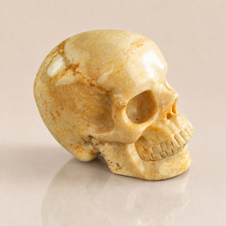 3-inch Coral Fossil Skull