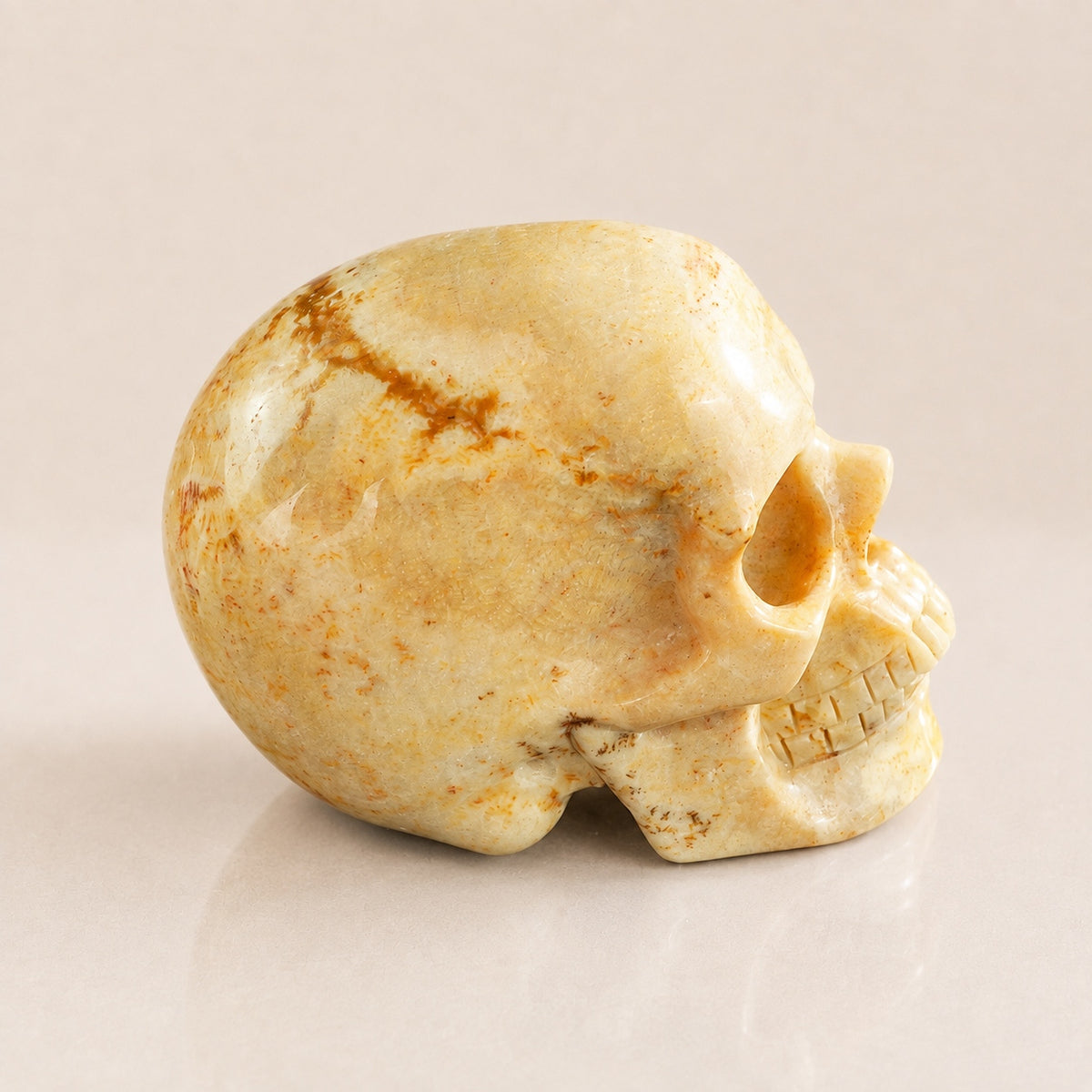 3-inch Coral Fossil Skull