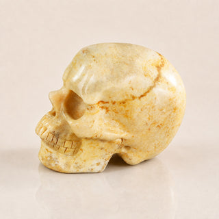 3-inch Coral Fossil Skull