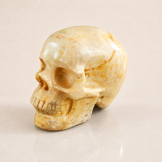 3-inch Coral Fossil Skull