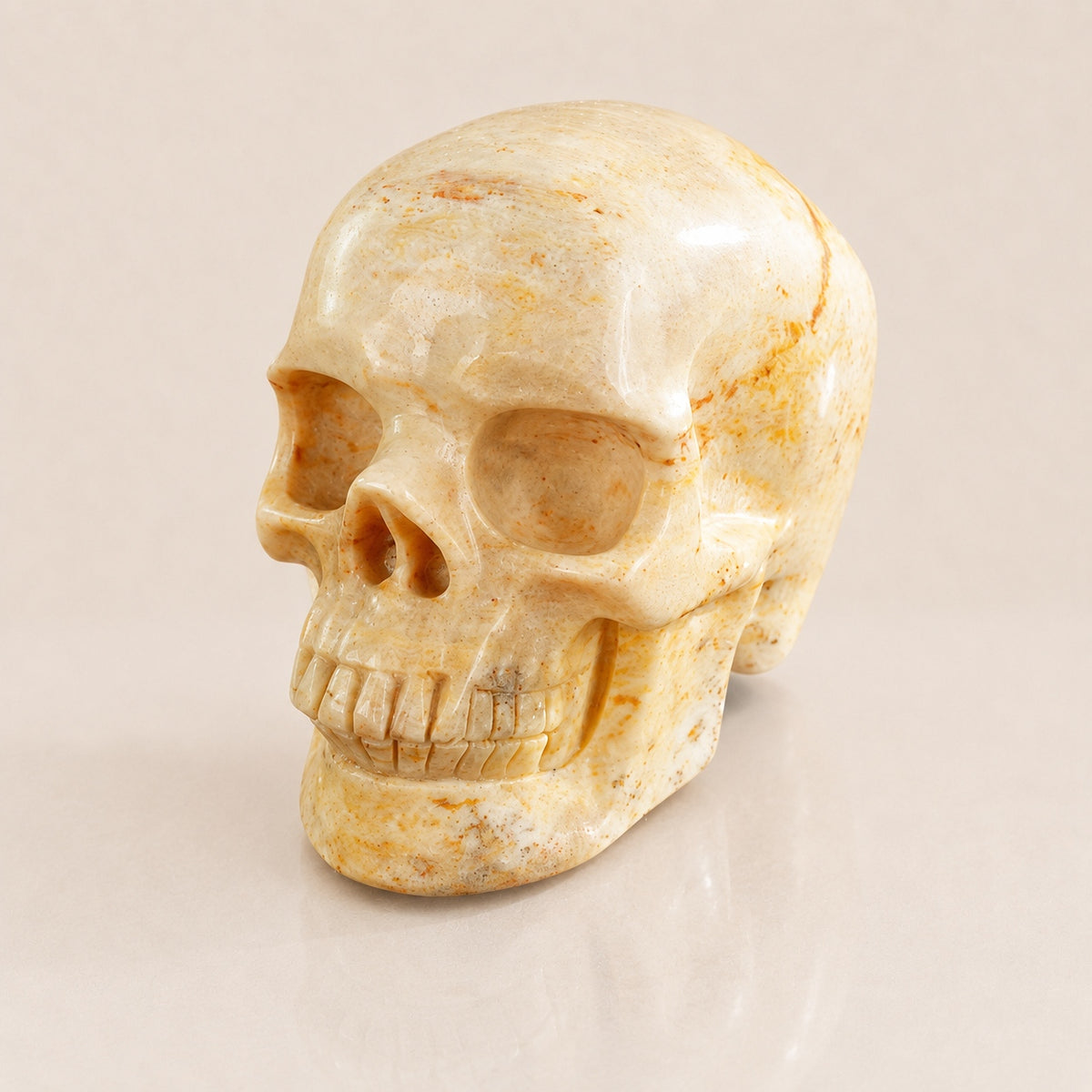 3-inch Coral Fossil Skull