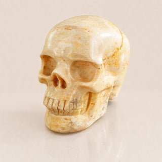 3-inch Coral Fossil Skull