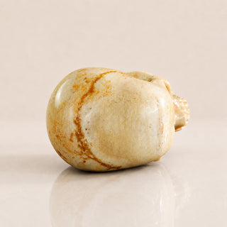 3-inch Coral Fossil Skull