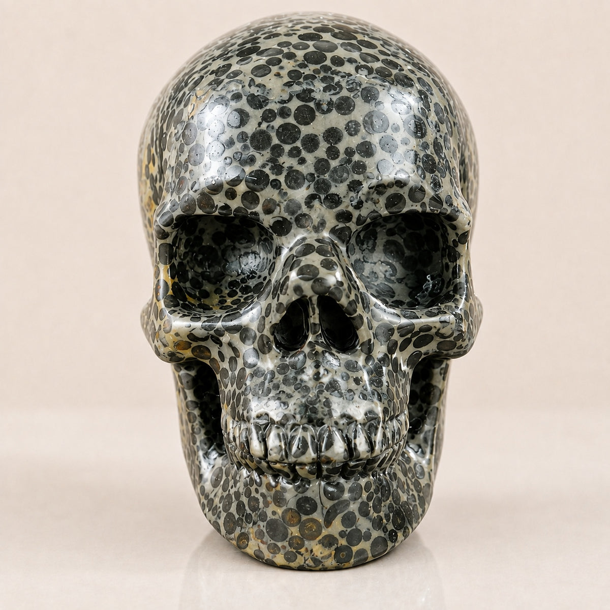4.5-inch Black Leopard skin jasper Skull