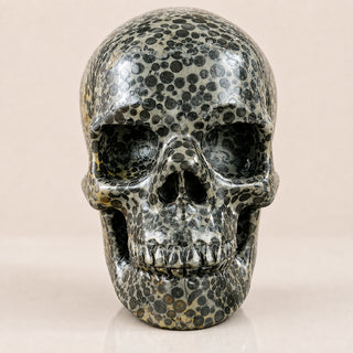 4.5-inch Black Leopard skin jasper Skull