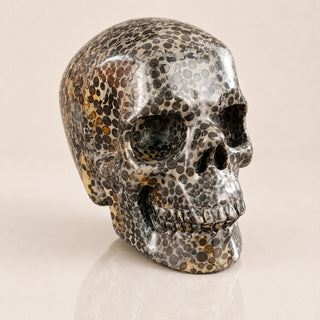 4.5-inch Black Leopard skin jasper Skull